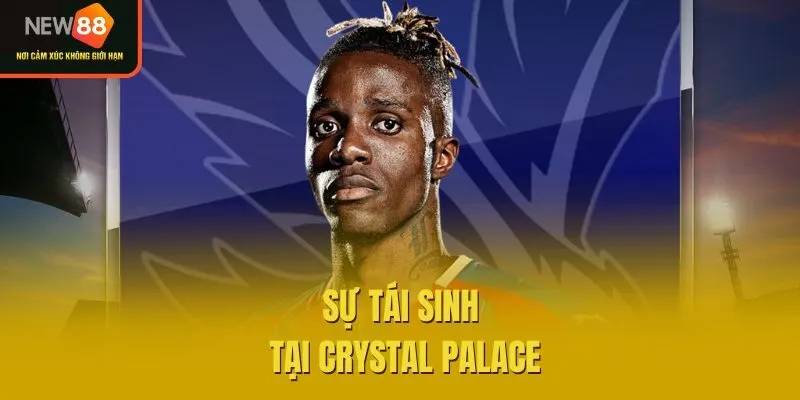 Sự tái sinh tại Crystal Palace